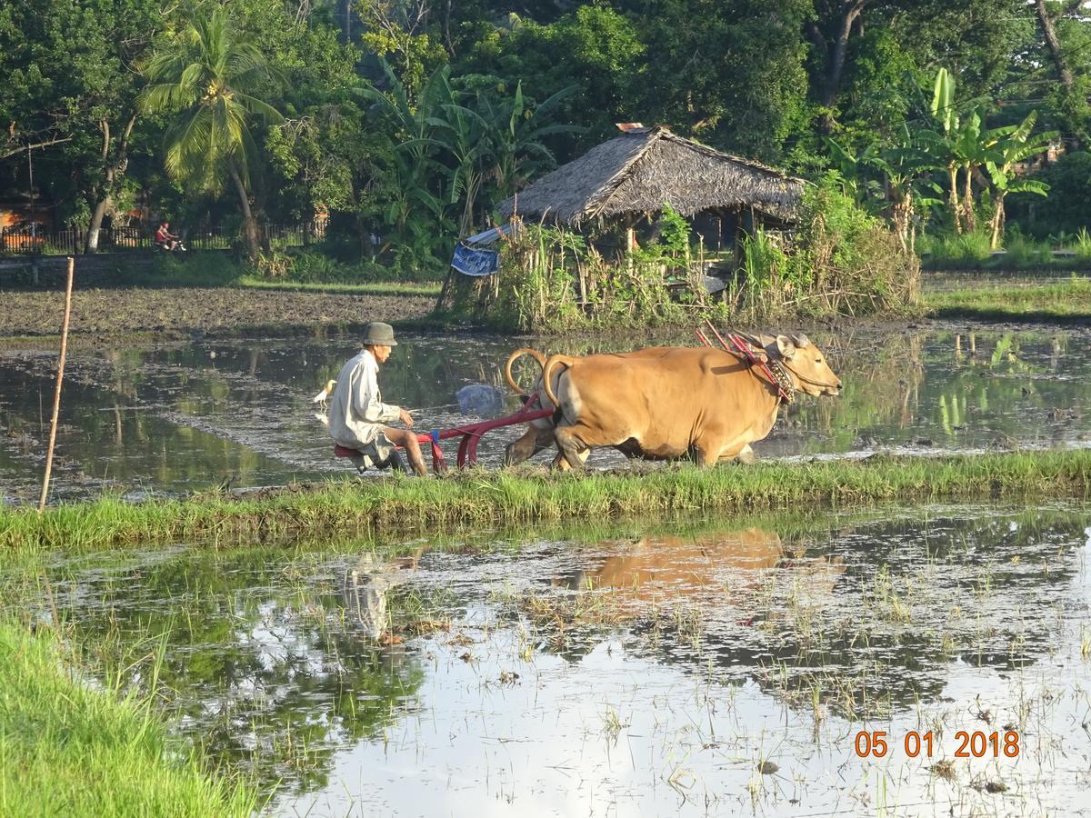 Villa Murni Lovina  Luaran gambar